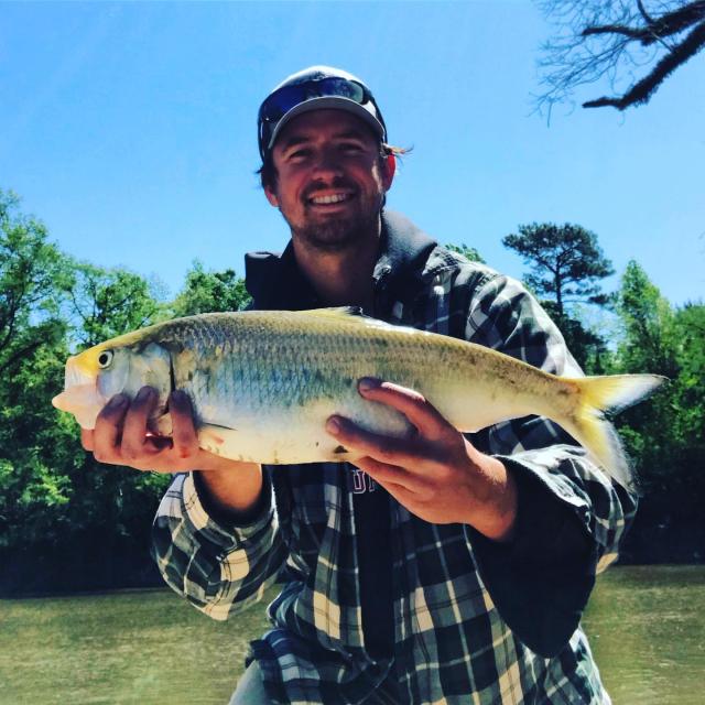 Man with american shad