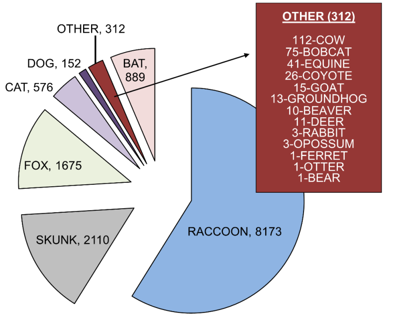 pie chart displays the findings described in the previous sentence.
