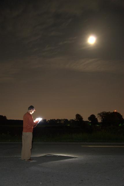 A volunteer uses a headlamp to record nightjar survey data in a dark landscape under the flow of a full moon