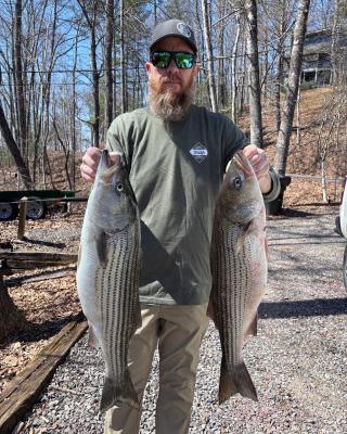 Biologist with Striped Bass