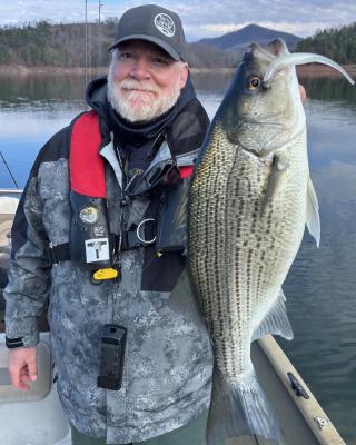 Biologist holding Striped Bass