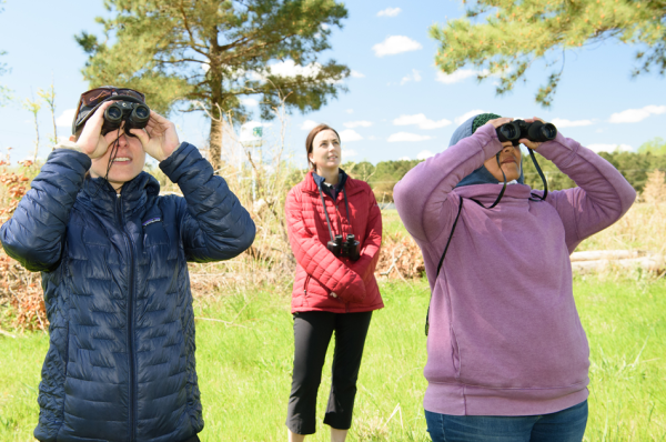 Three birders look up into the sky. Two are using binoculars to see.