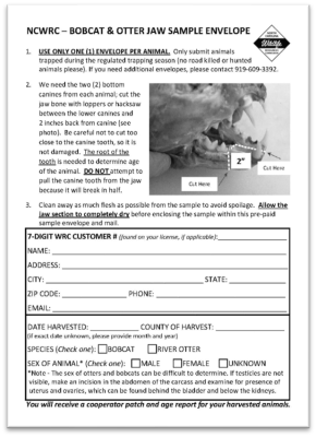 NCWRC Bobcat and Otter Jaw Sample Envelope design