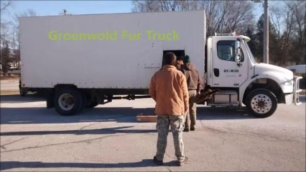 Trappers waiting to sell their fur to Groenewold Fur & Wool Co., which has pick-up sites throughout North Carolina every March-April.