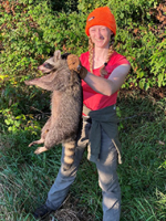 Caitlin Brett holds up a raccoon by the scruff of its neck