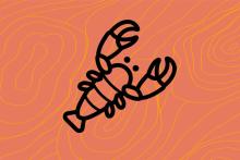 North Carolina Crustaceans Graphic