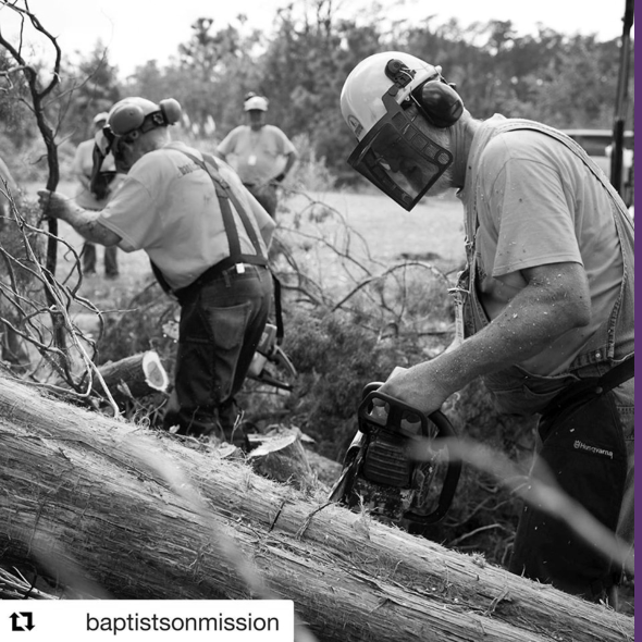 Two men using chainsaws on a fallen tree during disaster cleanup