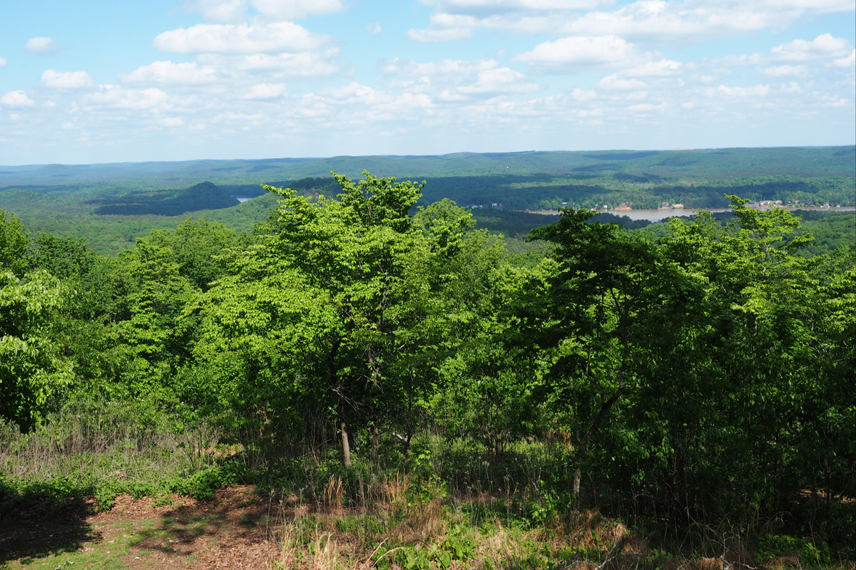 Morrow Mountain State Park Grows by Over 20 With Land Donation NC DNCR