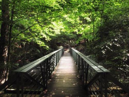 A foot path crosses a gorge at William B. Umstead State Park