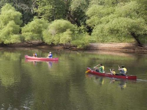 Canoeing at Cliffs of the Neuse State Park