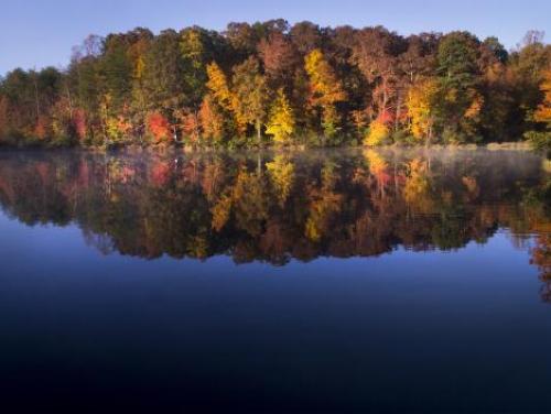 Fall foliage at Crowders Mountain State Park