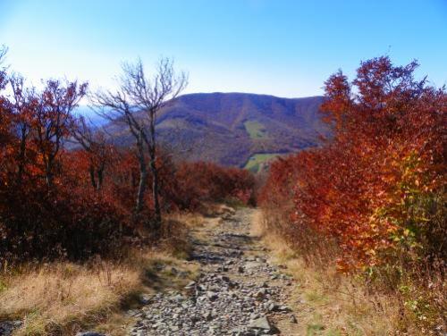 A hiking trail at Elk Knob State Park