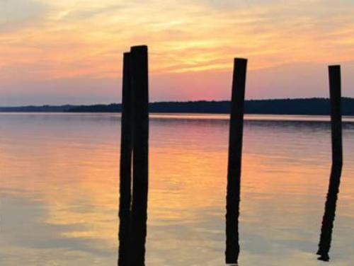 Piers jut from the water's surface at Falls Lake