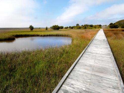 The Basin Trail at Fort Fisher State Recreation Area