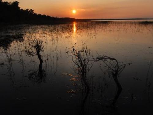 The sun sets over Lake Waccamaw State Park 