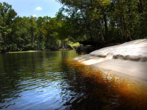 A sandy bank at Lumber River State Park