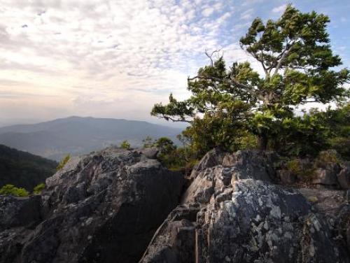 Luther Rock at Mount Jefferson State Park