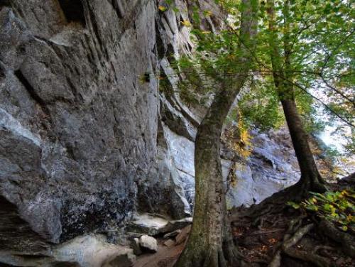 The base of 150-foot Raven Rock near Lillington