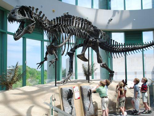 Science Museums North Carolina Science Museums NC