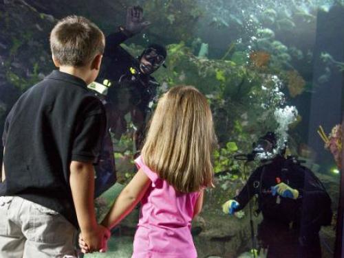 Wilmington North Carolina Experiences