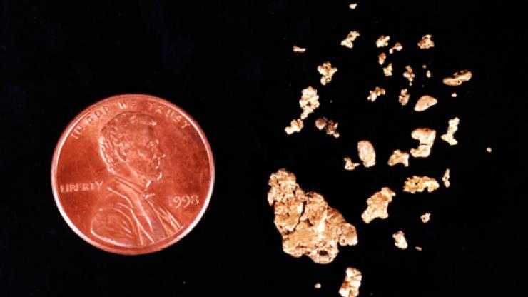 Gold dust recovered from Blackbeard's Queen Anne's Revnege Gold dust recovered from Blackbeard's Queen Anne's Revnege