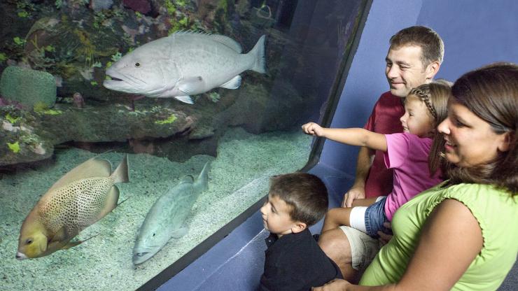 Fort Fisher Aquarium