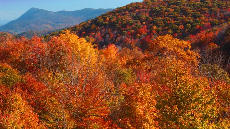 Elk Knob State Park Elk Knob State Park