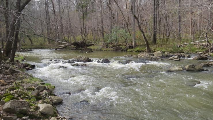 Morrow Mountain State Park Adds 45 Acres At Mountain Creek Nc Dncr