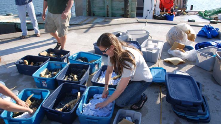 Processing Blackbeard artifacts on the dock in Atlantic Beach Processing Blackbeard artifacts on the dock in Atlantic Beach