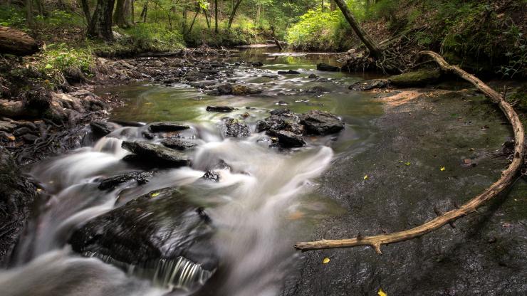 Campbell Creek at Raven Rock State Park Campbell Creek at Raven Rock State Park