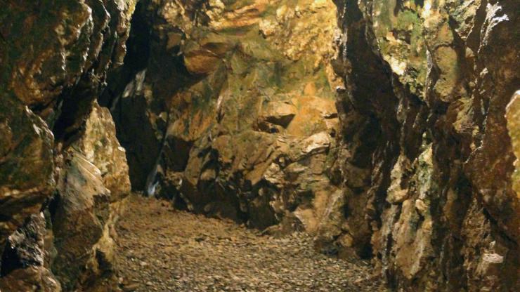 Reed Gold Mine