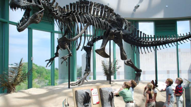 Museum of Natural Sciences