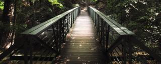 A footbridge at Wiliam B. Umstead State Park in Raleigh