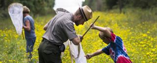Catching monarch butterflies at Falls Lake State Recreation Area