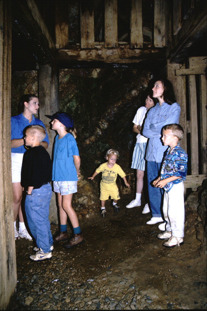 Family in a gold mine