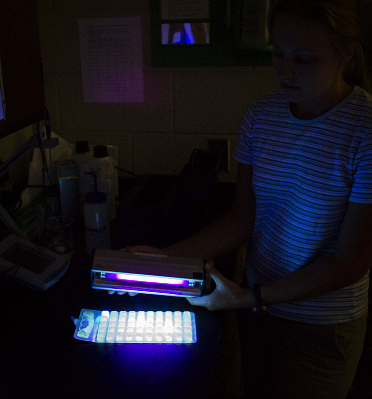 Recreational Water Quality NC DEQ