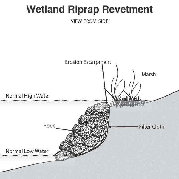 Marsh Toe Revetment