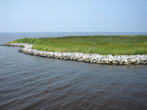 Marsh Toe Revetment Photo