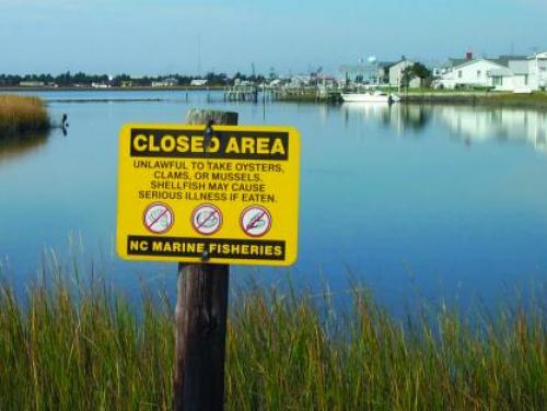 Closed Shellfish Area