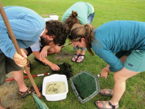 Educator and students examine nets