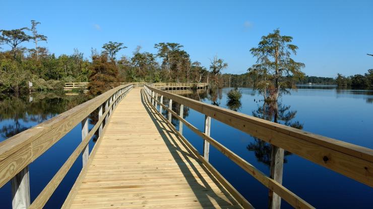 Pasquotank Boardwalk Boardwalk along the Pasquotank River