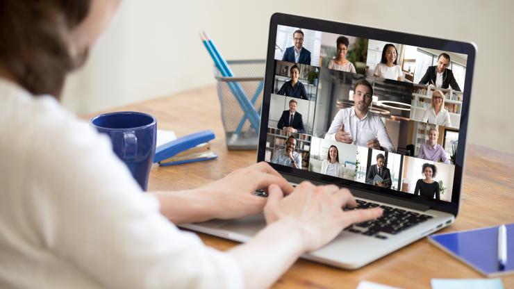 Marine FIsheries Commisison Meetings Woman on a Webinar