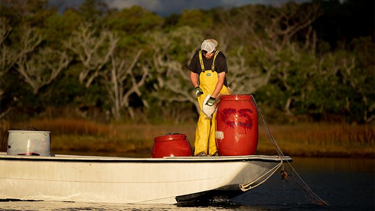 Observer Program commercial flounder fisherman