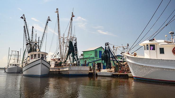 Trip Ticket Program Trawl boats at the fishhouse
