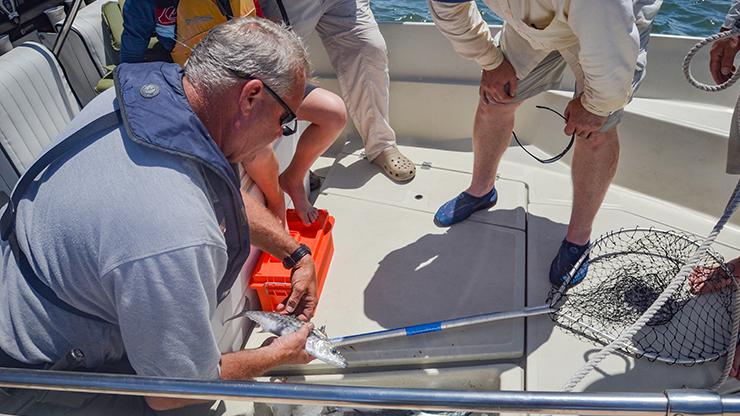 Why Do We Have Fishing Regulations? Marine Patrol officer checking fish