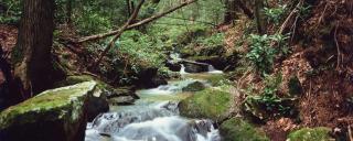 Mingo Tract Mingo Tract