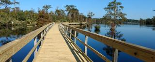 Pasquotank Boardwalk