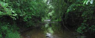 Little Harris Site