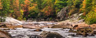 North Carolina Creek during the Fall