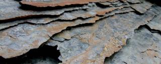 Shale Shale